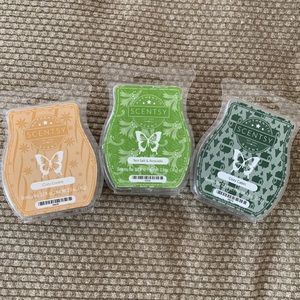 Scentsy wax